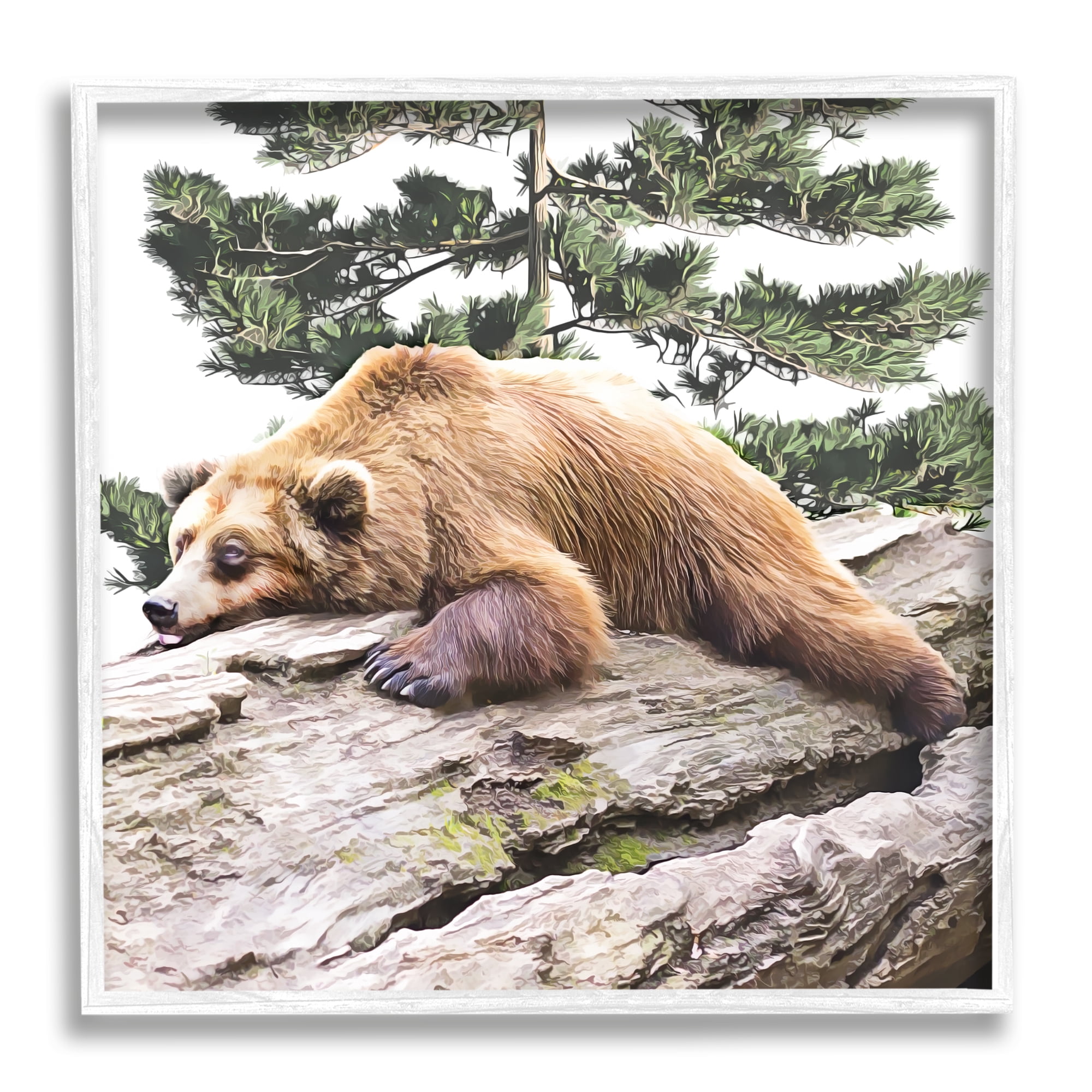 Stupell Sleeping Brown Bear Wildlife Animals & Insects Painting White Framed Art Print Wall Art