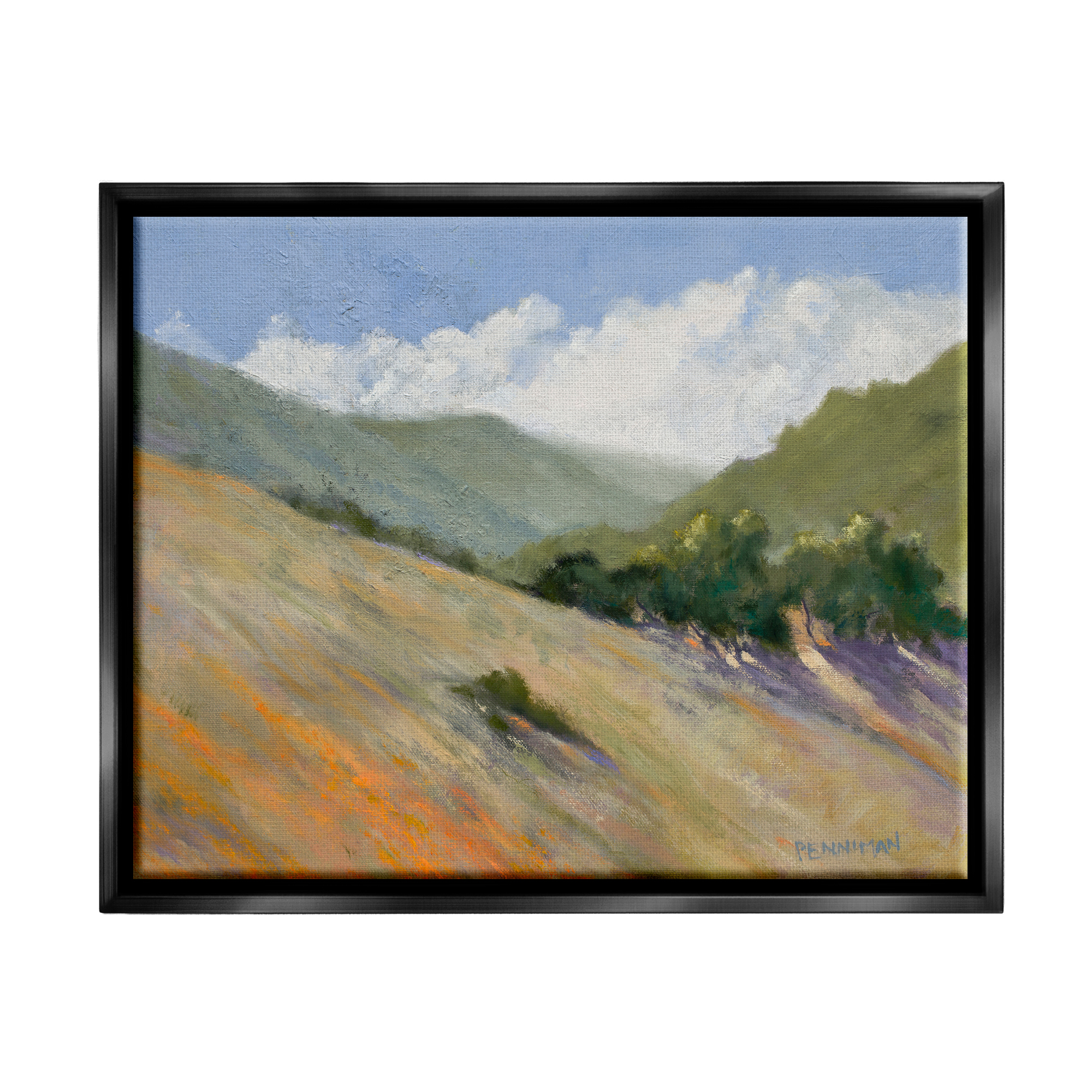 Stupell Sloped Nature Modern Landscape Landscape Painting Black Floater Framed Art Print Wall Art