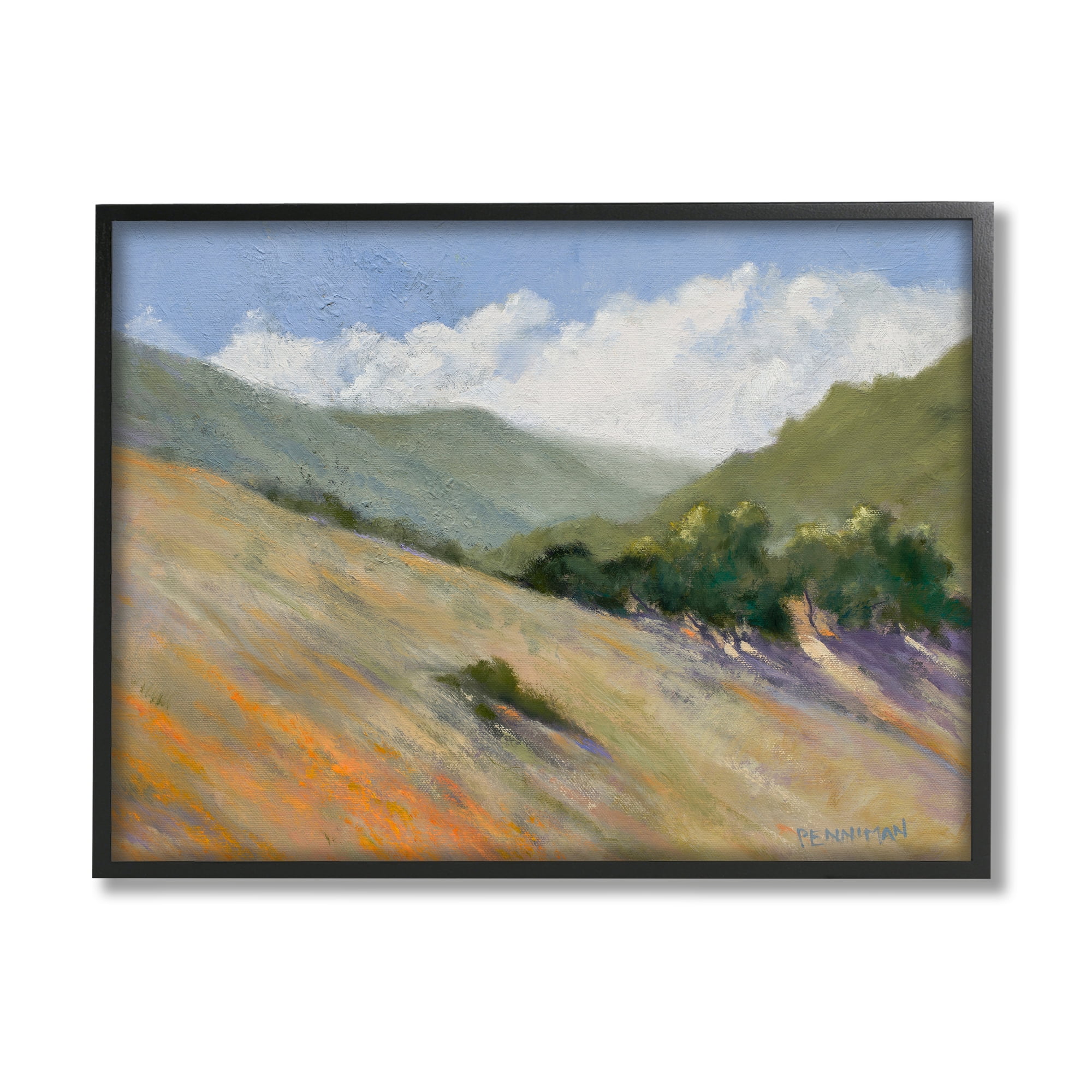 Stupell Sloped Nature Modern Landscape Landscape Painting Black Framed Art Print Wall Art