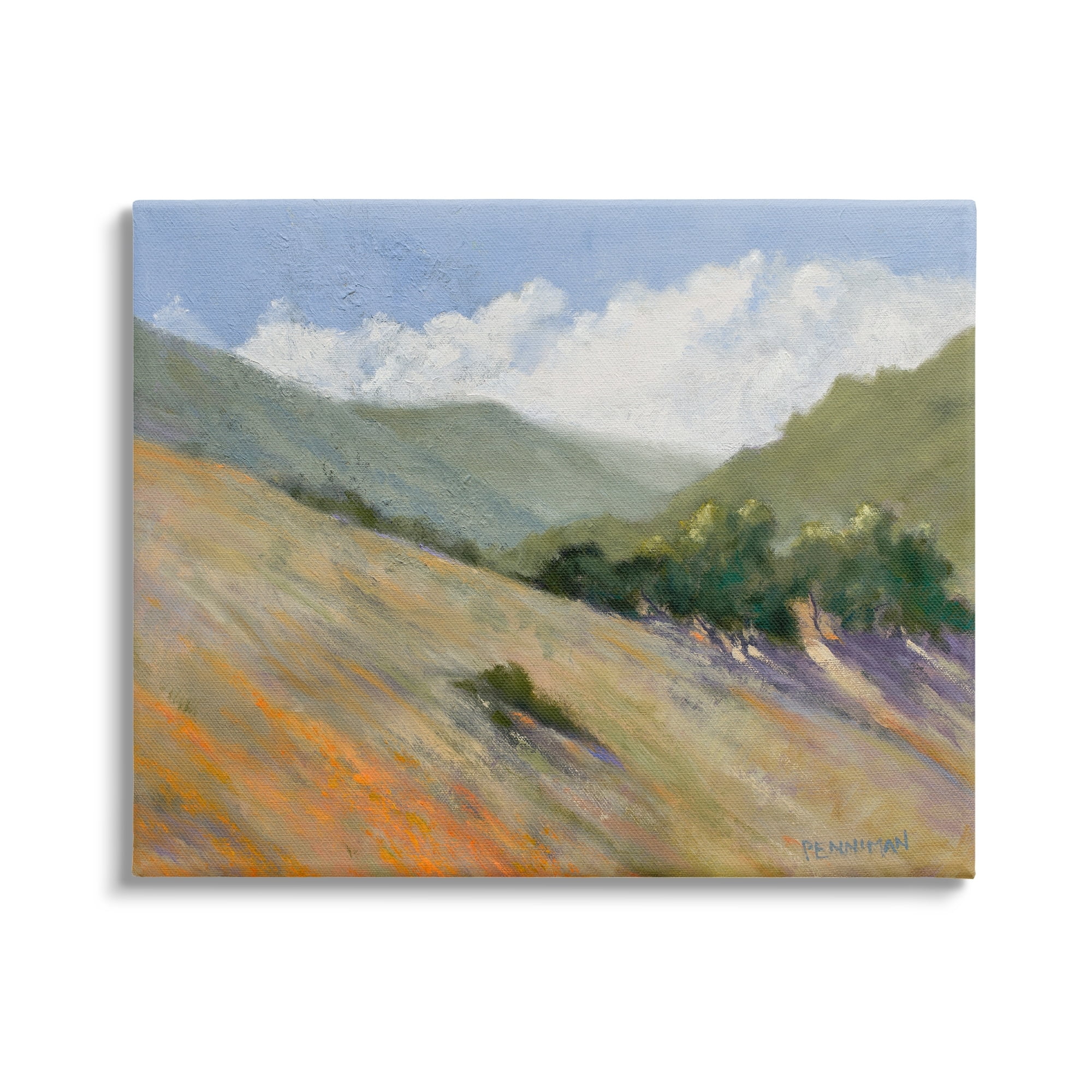 Stupell Sloped Nature Modern Landscape Landscape Painting Gallery Wrapped Canvas Print Wall Art