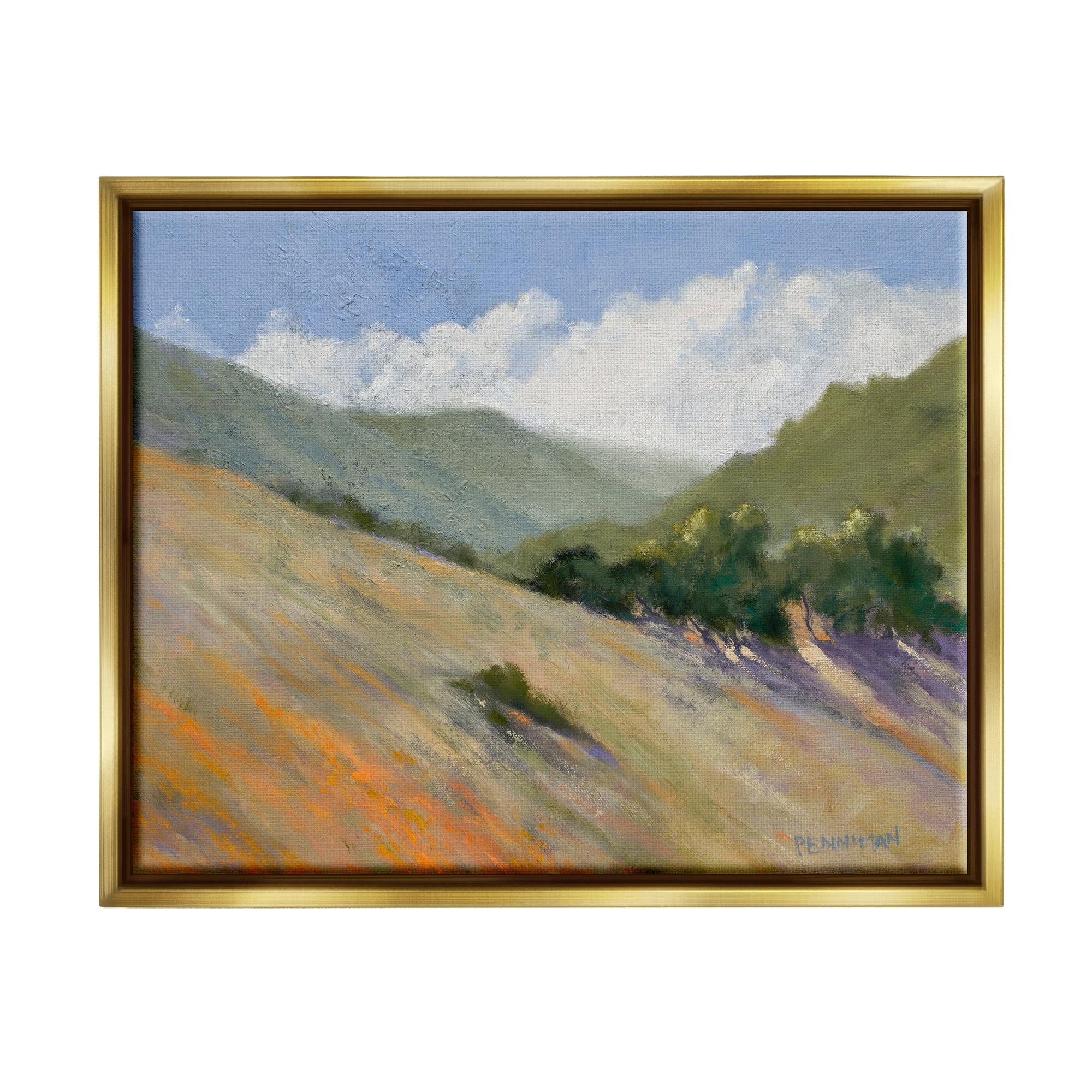Stupell Sloped Nature Modern Landscape Landscape Painting Gold Floater Framed Art Print Wall Art