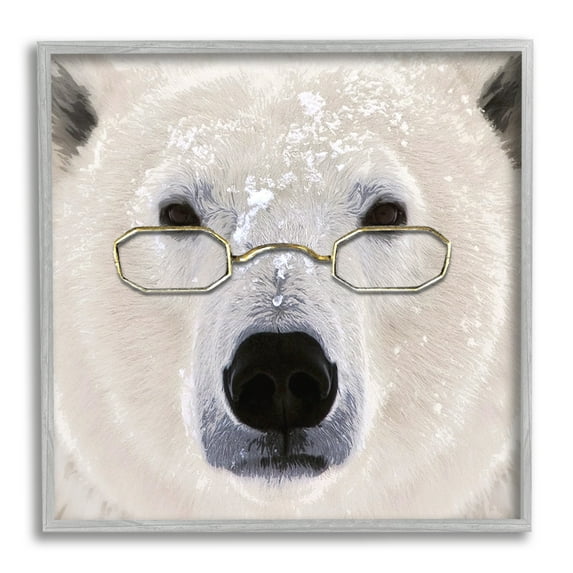 Stupell Snowy Polar Bear Glasses Animals & Insects Painting Gray Framed Art Print Wall Art