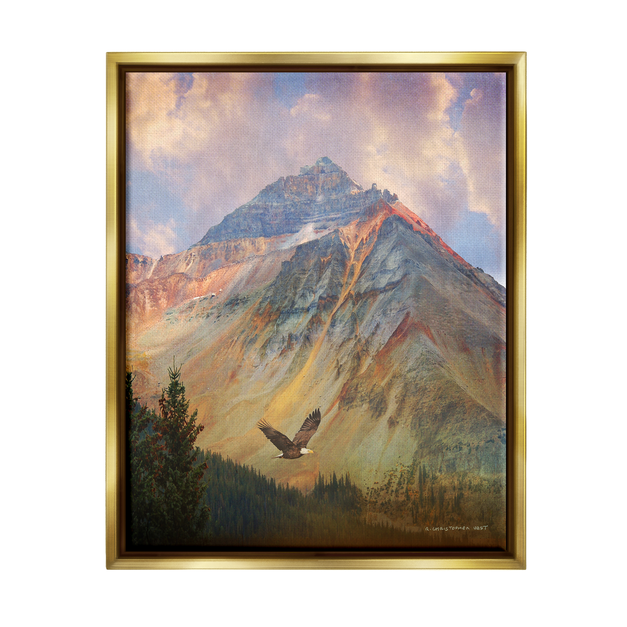 Stupell Soaring Eagle Mountain Valley Landscape Photography Gold Floater Framed Art Print Wall Art
