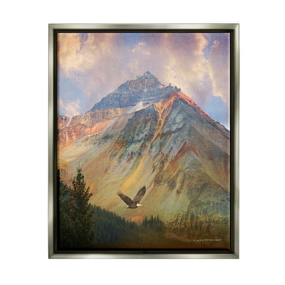 Stupell Soaring Eagle Mountain Valley Landscape Photography Gray Floater Framed Art Print Wall Art