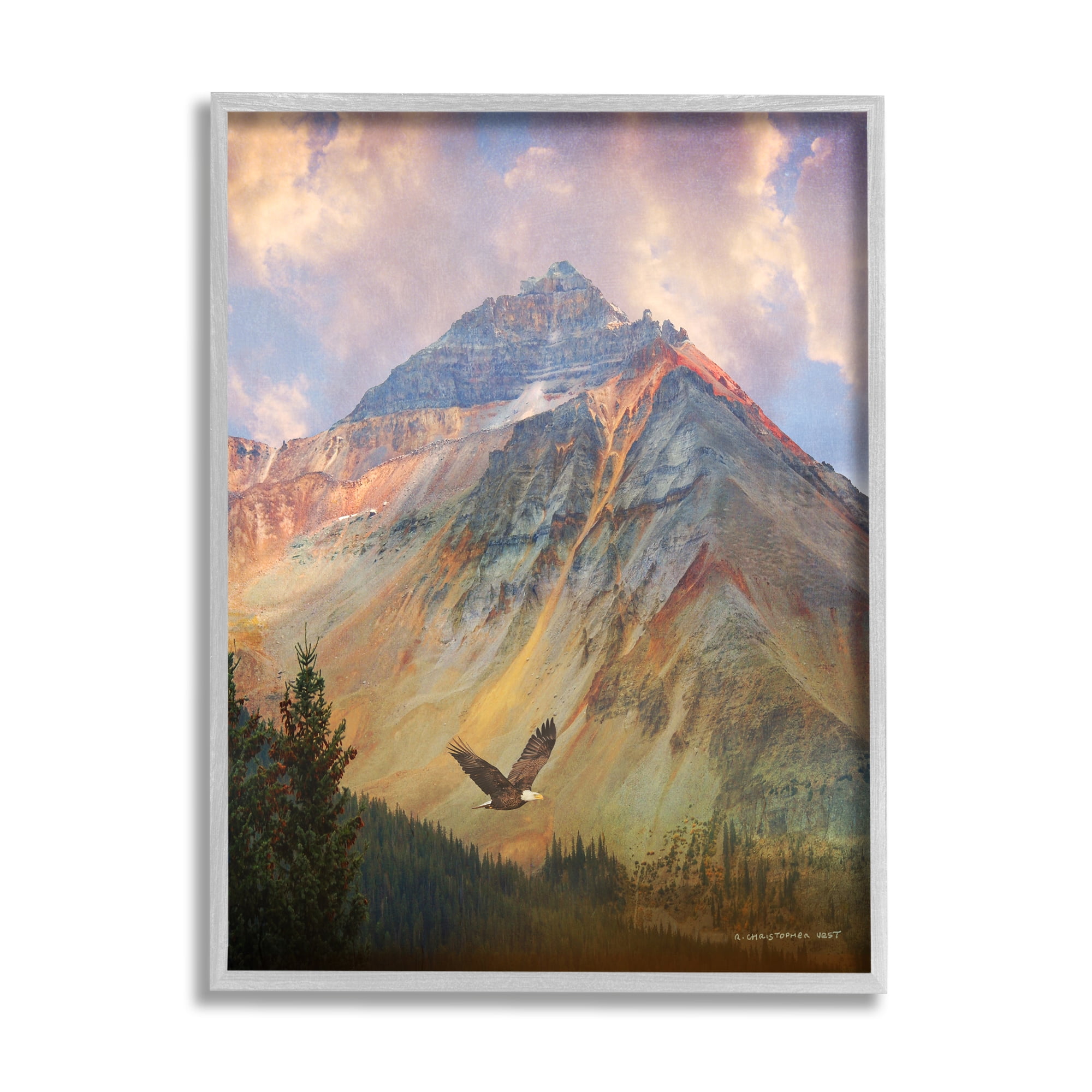 Stupell Soaring Eagle Mountain Valley Landscape Photography Gray Framed Art Print Wall Art