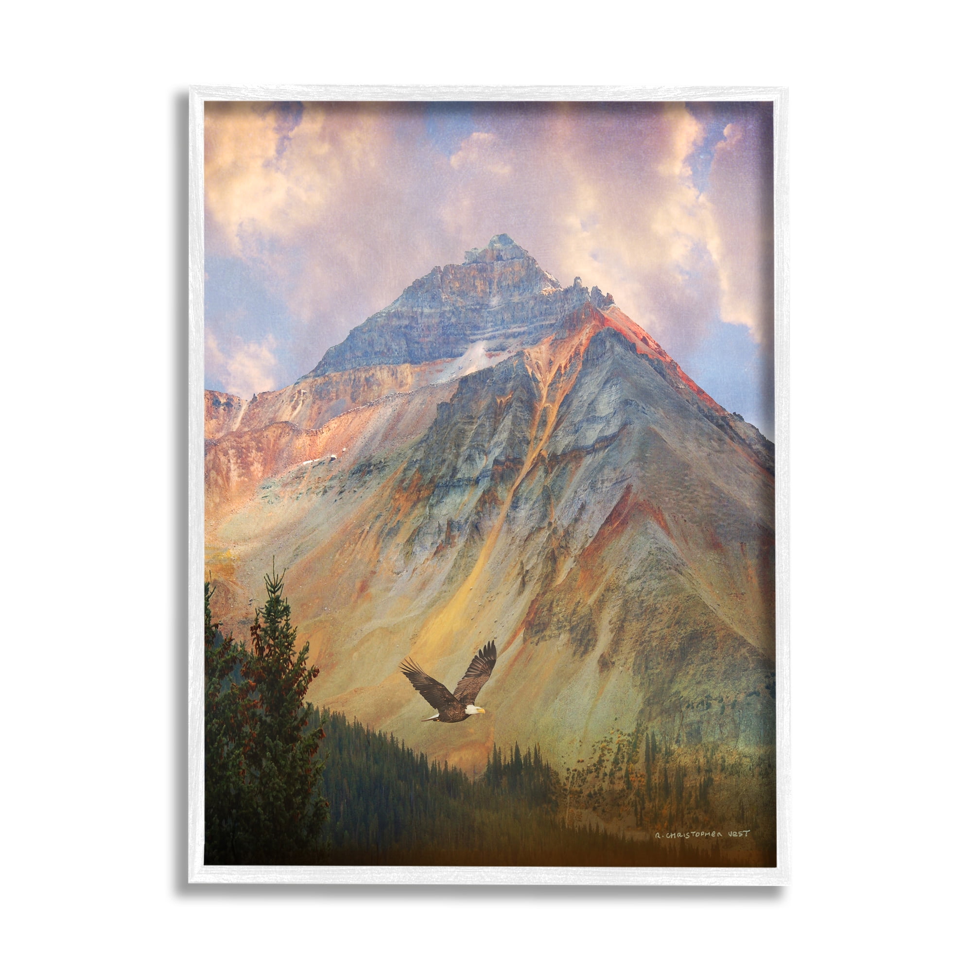 Stupell Soaring Eagle Mountain Valley Landscape Photography White Framed Art Print Wall Art
