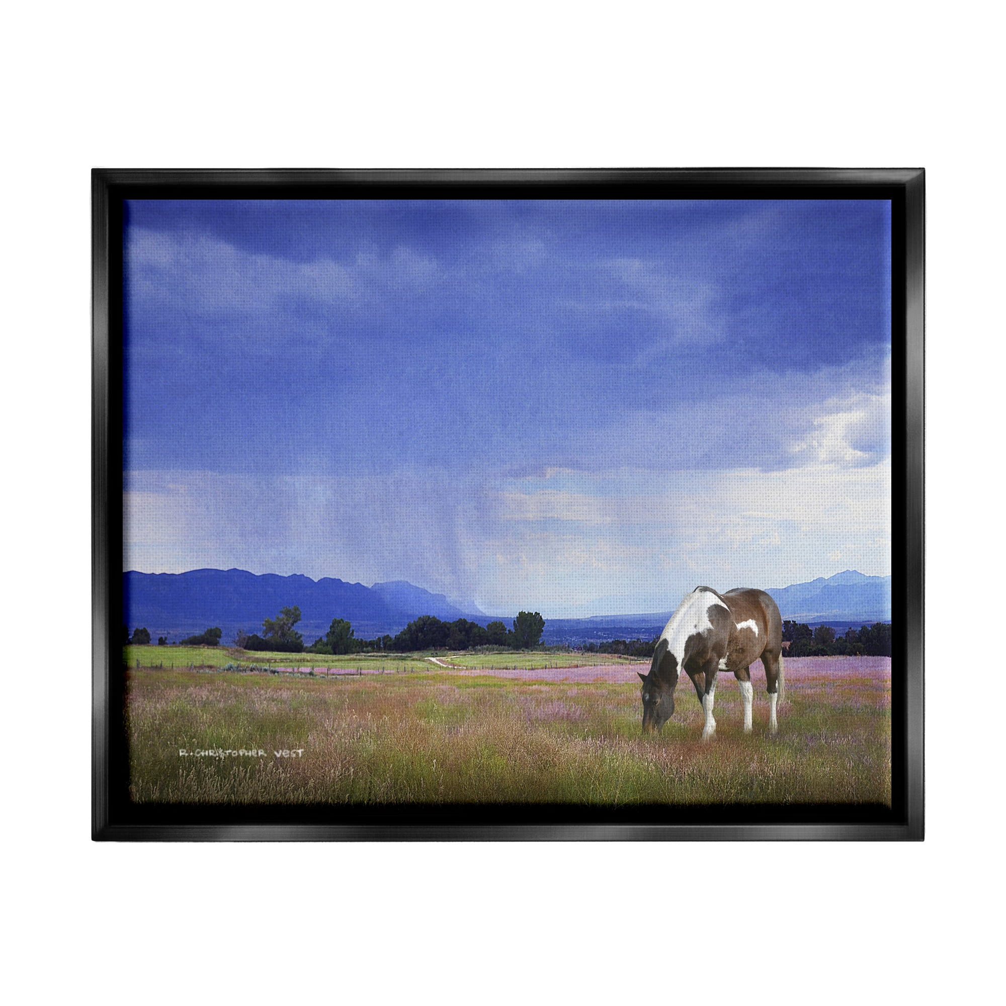 Stupell Spotted Horse Grazing Country Grassland Animals & Insects Photography Black Floater Framed Art Print Wall Art