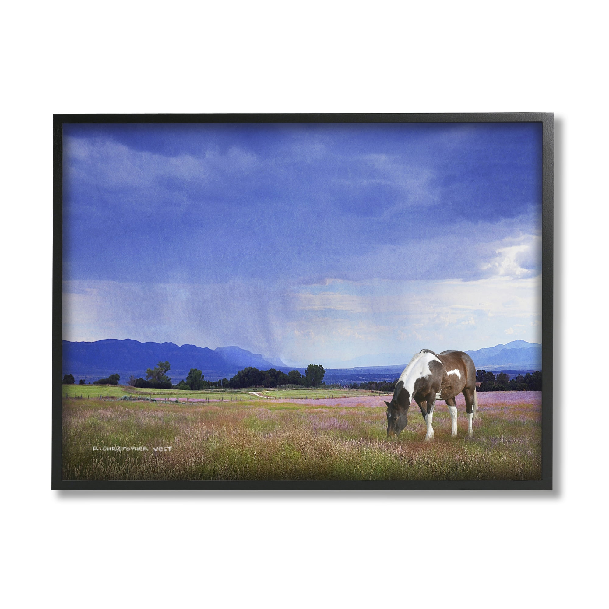 Stupell Spotted Horse Grazing Country Grassland Animals & Insects Photography Black Framed Art Print Wall Art