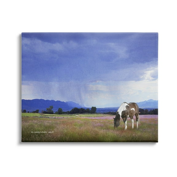 Stupell Spotted Horse Grazing Country Grassland Animals & Insects Photography Gallery Wrapped Canvas Print Wall Art
