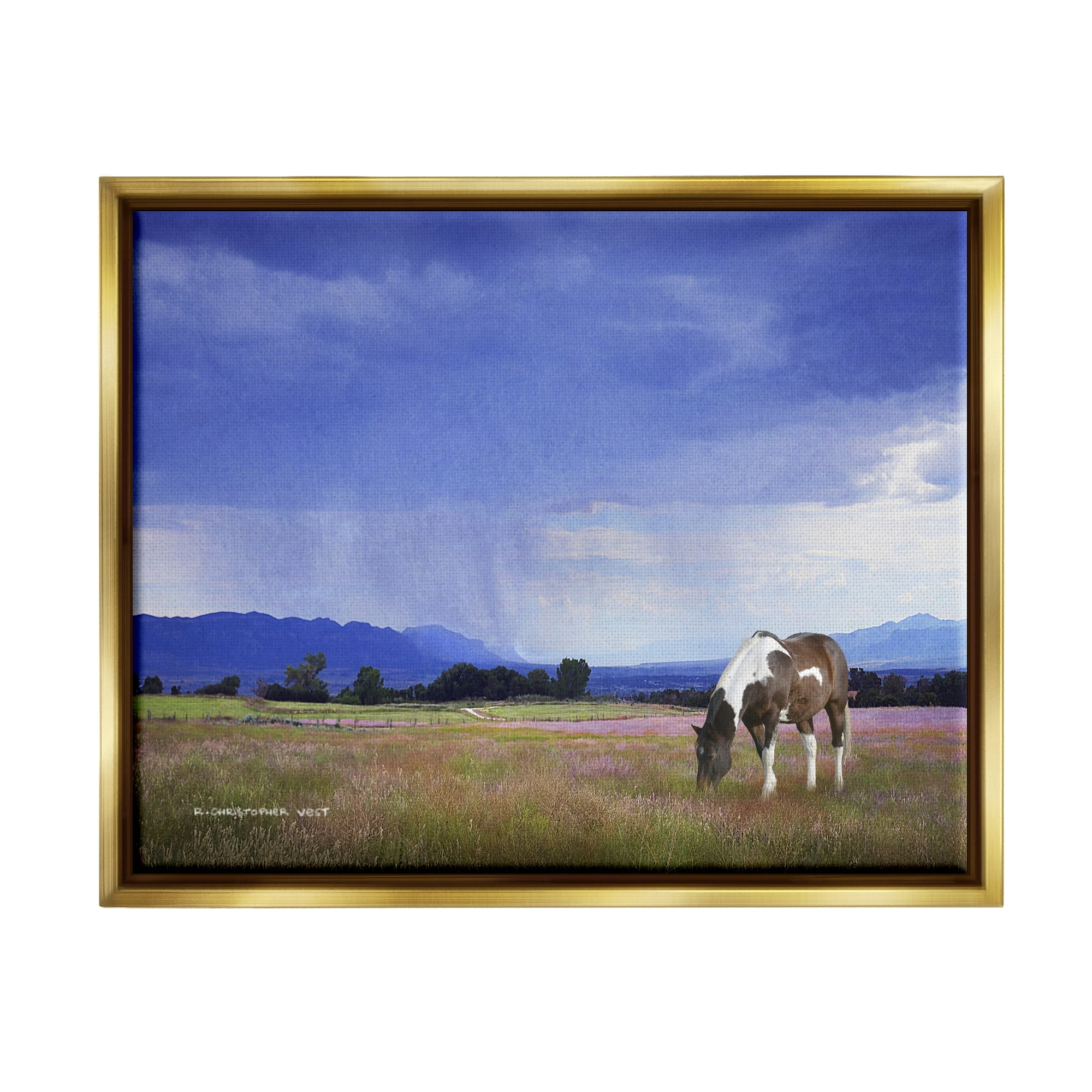 Stupell Spotted Horse Grazing Country Grassland Animals & Insects Photography Gold Floater Framed Art Print Wall Art