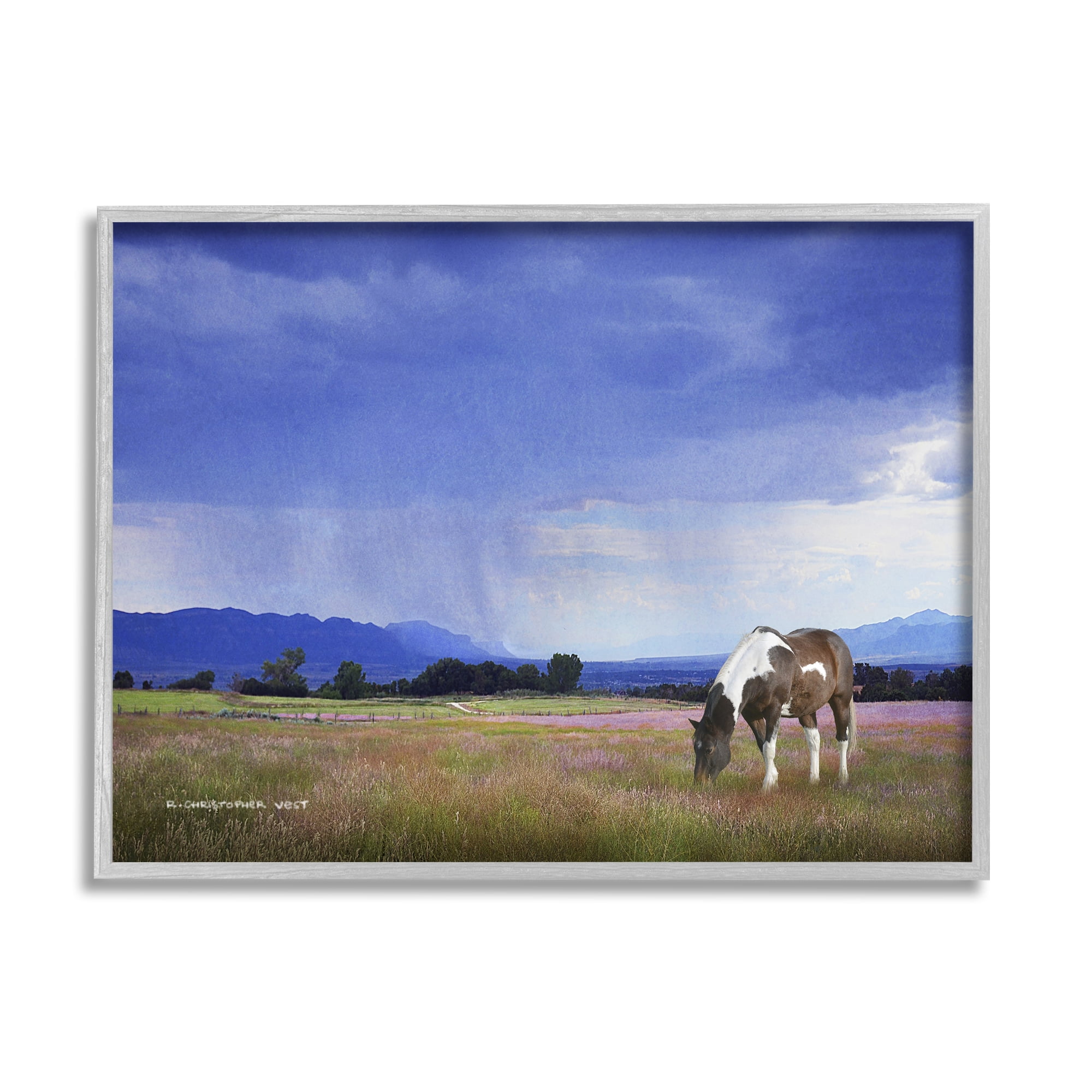Stupell Spotted Horse Grazing Country Grassland Animals & Insects Photography Gray Framed Art Print Wall Art