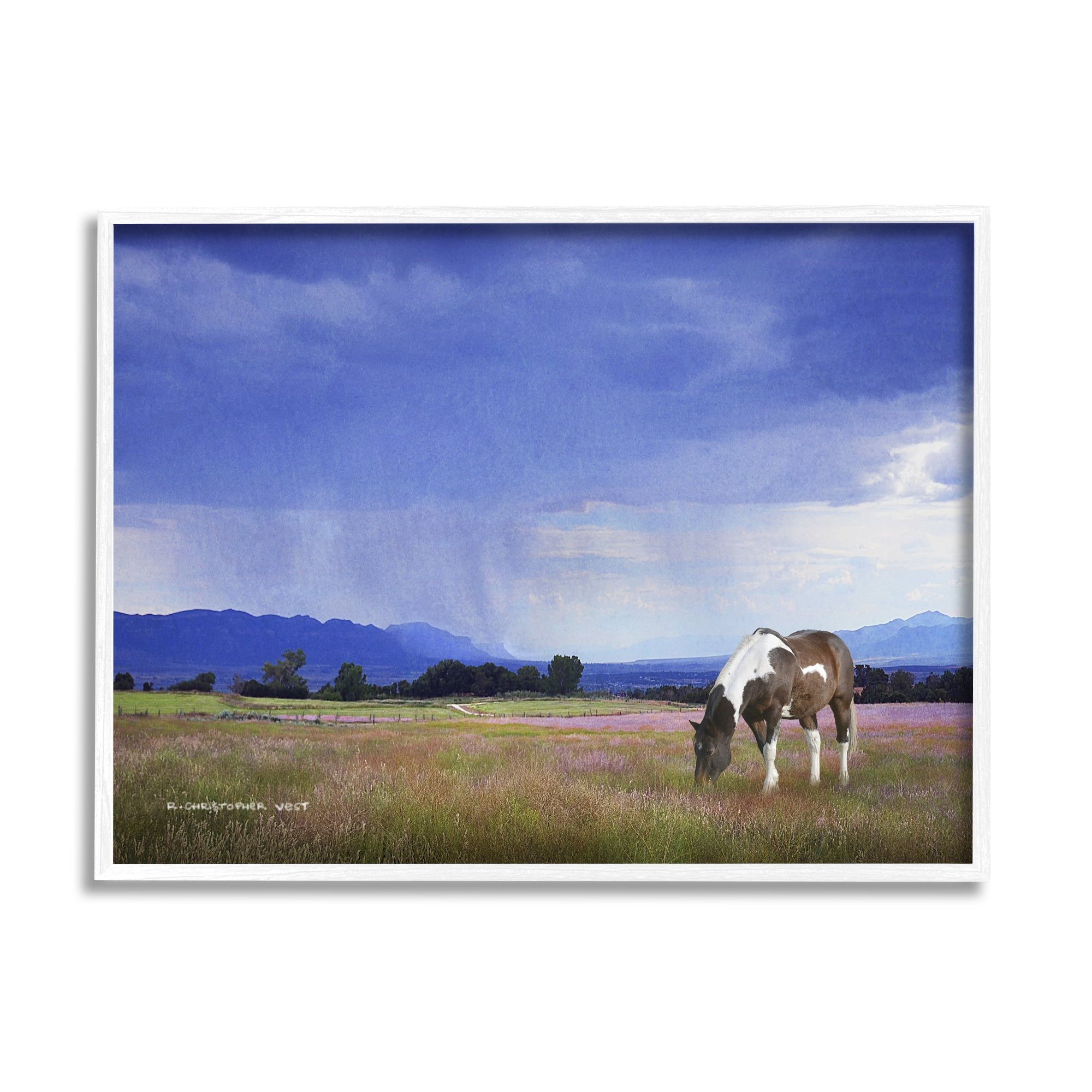 Stupell Spotted Horse Grazing Country Grassland Animals & Insects Photography White Framed Art Print Wall Art