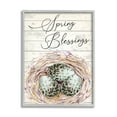 thumbnail image 1 of Stupell Spring Blessings Bird Nest Nature Holiday Painting Gray Framed Art Print Wall Art, 1 of 7