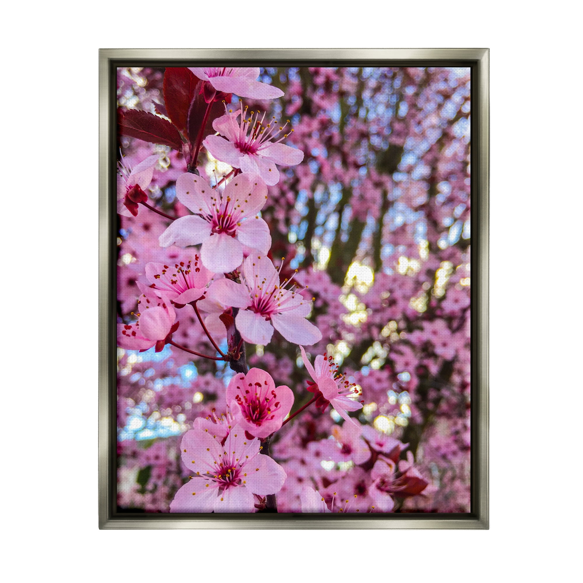 Stupell Spring Cherry Blossom Tree Nature Botanical & Floral Photography Gray Floater Framed Art Print Wall Art