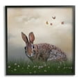 thumbnail image 1 of Stupell Spring Rabbit Meadow Butterflies Animals & Insects Photography Black Framed Art Print Wall Art, 1 of 7