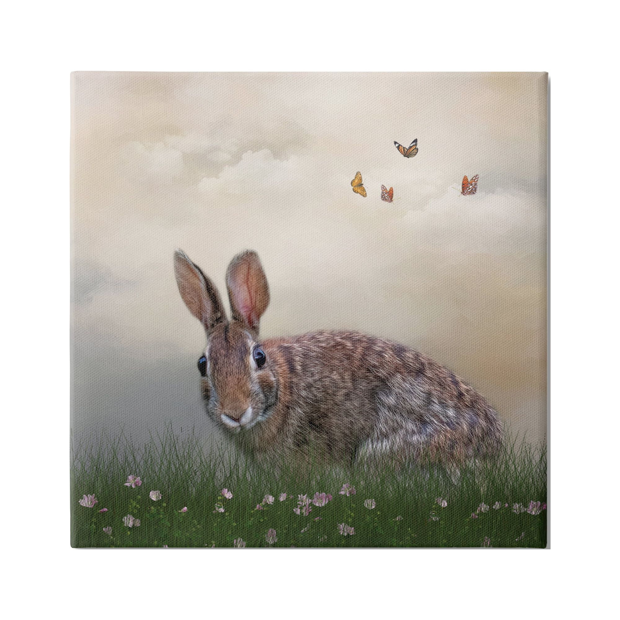 Stupell Spring Rabbit Meadow Butterflies Animals & Insects Photography Gallery Wrapped Canvas Print Wall Art