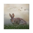 thumbnail image 1 of Stupell Spring Rabbit Meadow Butterflies Animals & Insects Photography Gallery Wrapped Canvas Print Wall Art, 1 of 7