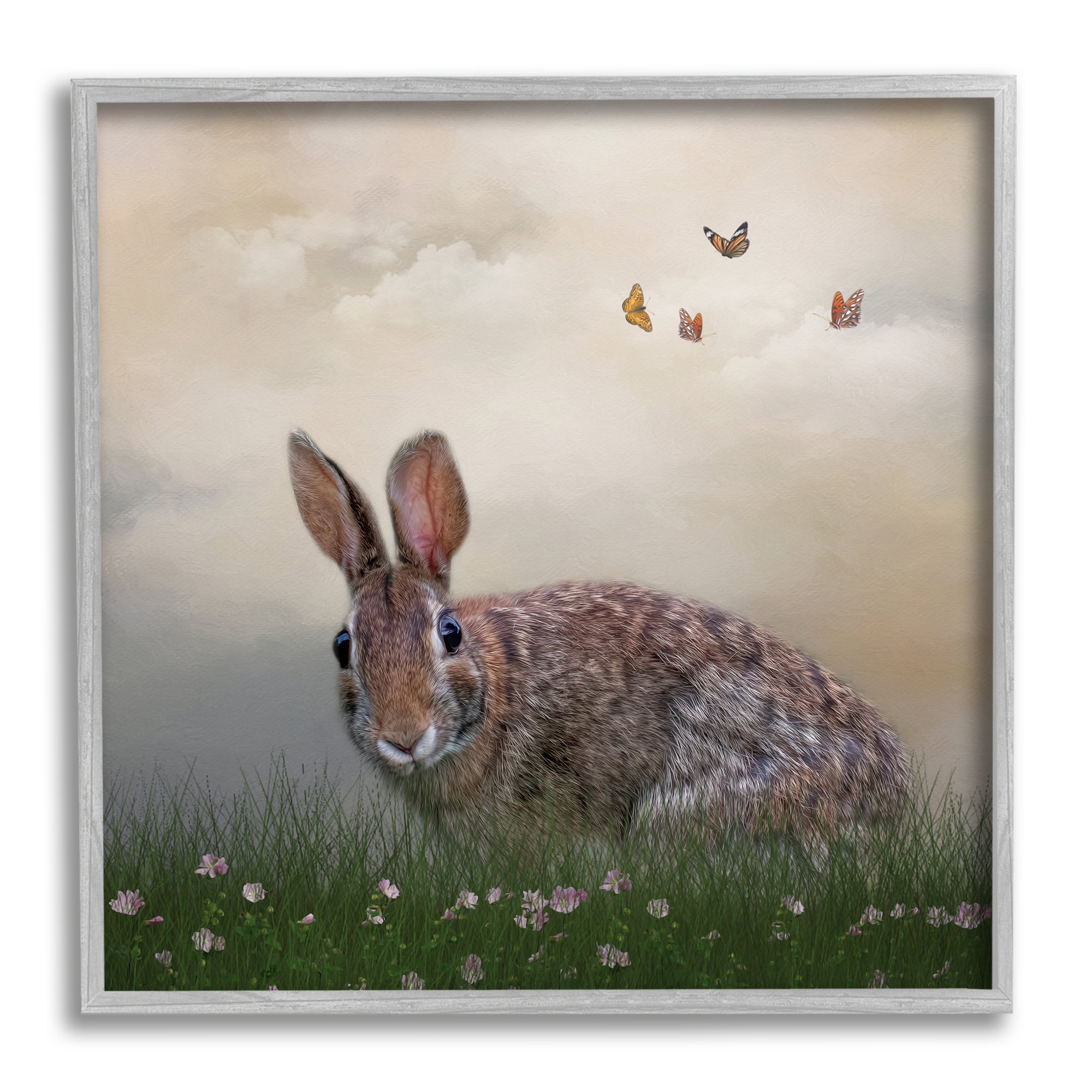 Stupell Spring Rabbit Meadow Butterflies Animals & Insects Photography Gray Framed Art Print Wall Art