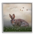thumbnail image 1 of Stupell Spring Rabbit Meadow Butterflies Animals & Insects Photography Gray Framed Art Print Wall Art, 1 of 7