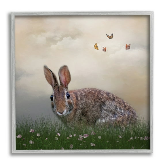 Stupell Spring Rabbit Meadow Butterflies Animals & Insects Photography Gray Framed Art Print Wall Art