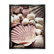 Stupell Stacked Coastal Seashells Landscape Photography Black Floater Framed Art Print Wall Art