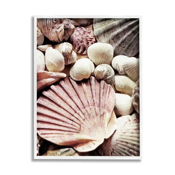 Stupell Stacked Coastal Seashells Landscape Photography White Framed Art Print Wall Art