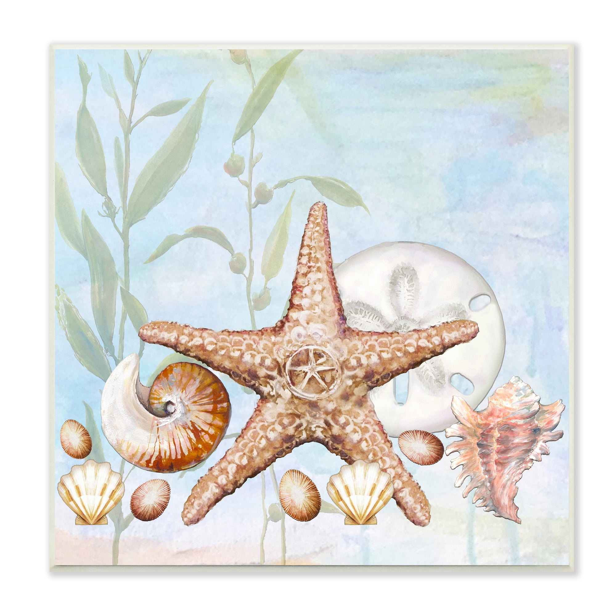 Stupell Industries Starfish Seashells Underwater Plants Ocean Beach Painting Wood Wall Art, 12 x 12, Design by Diannart