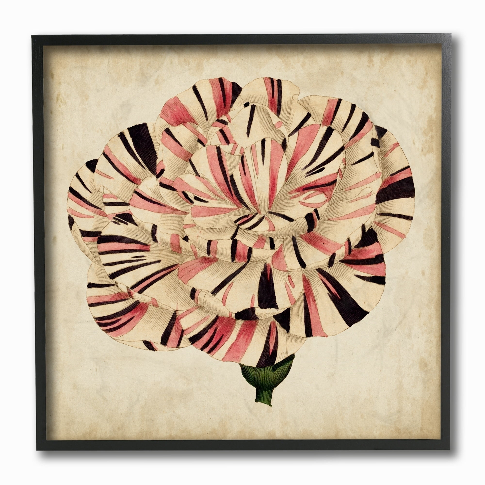 Stupell  Striking Striped Tulip Bloom Aged Painting Framed Art, 12 x 12, Design By Artist Vision Studio - Multi-Color - 12 x 12