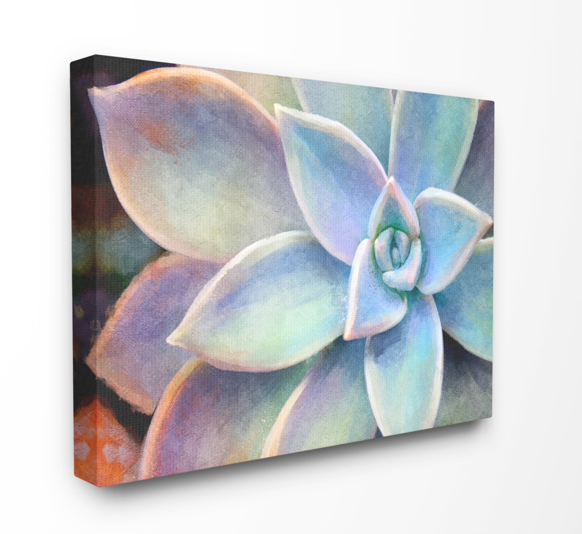 Stupell Succulent Plant Vibrant Bloom Painting Canvas Art, 24 x 30