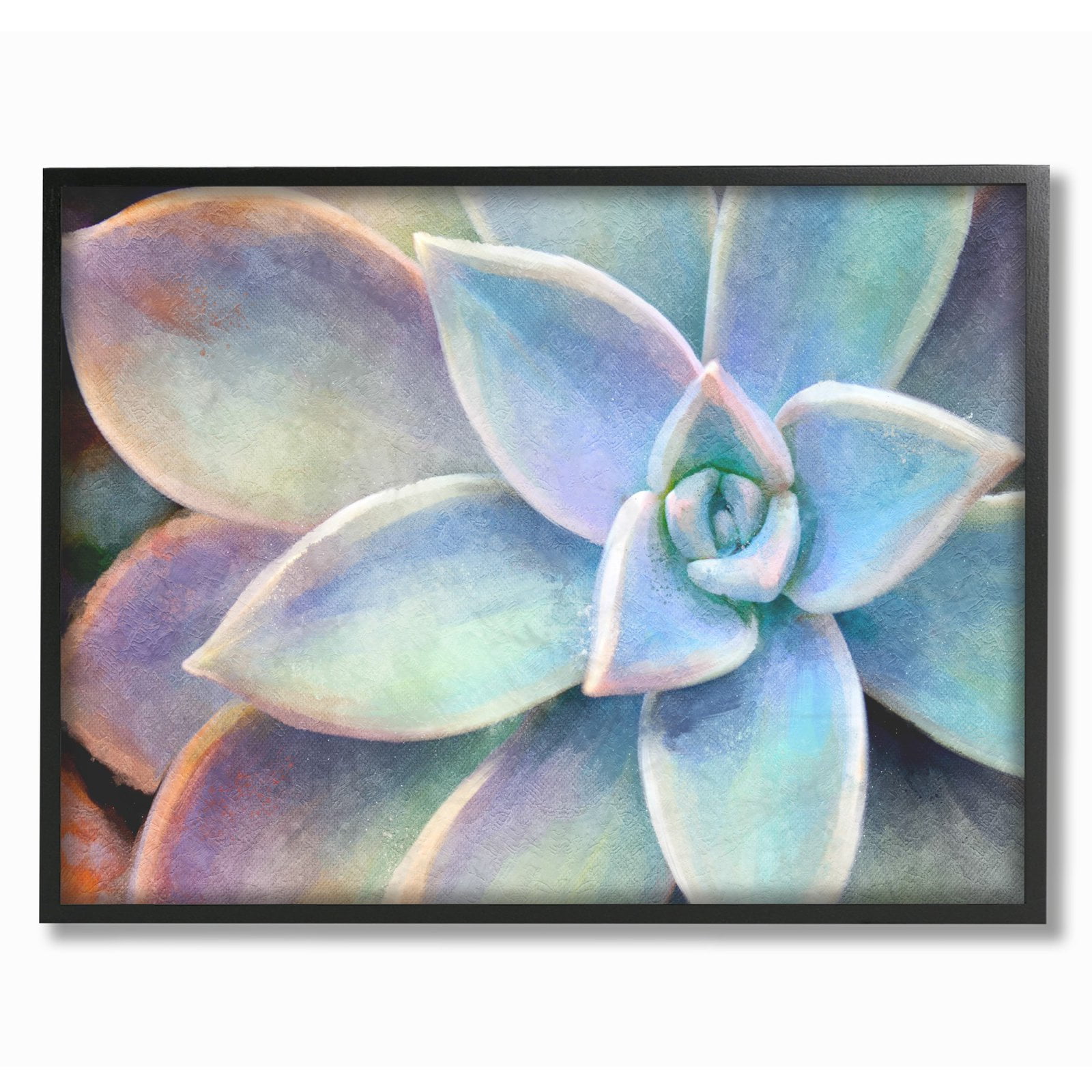 Stupell Succulent Plant Vibrant Bloom Painting Framed Wall Art 11 x 14 Black
