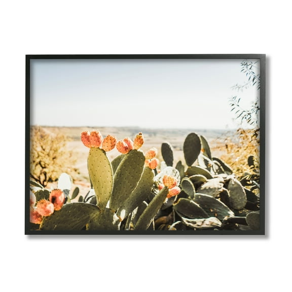 Stupell Sunlit Prickly Pear Cactus Photography Landscape Photography Black Framed Art Print Wall Art