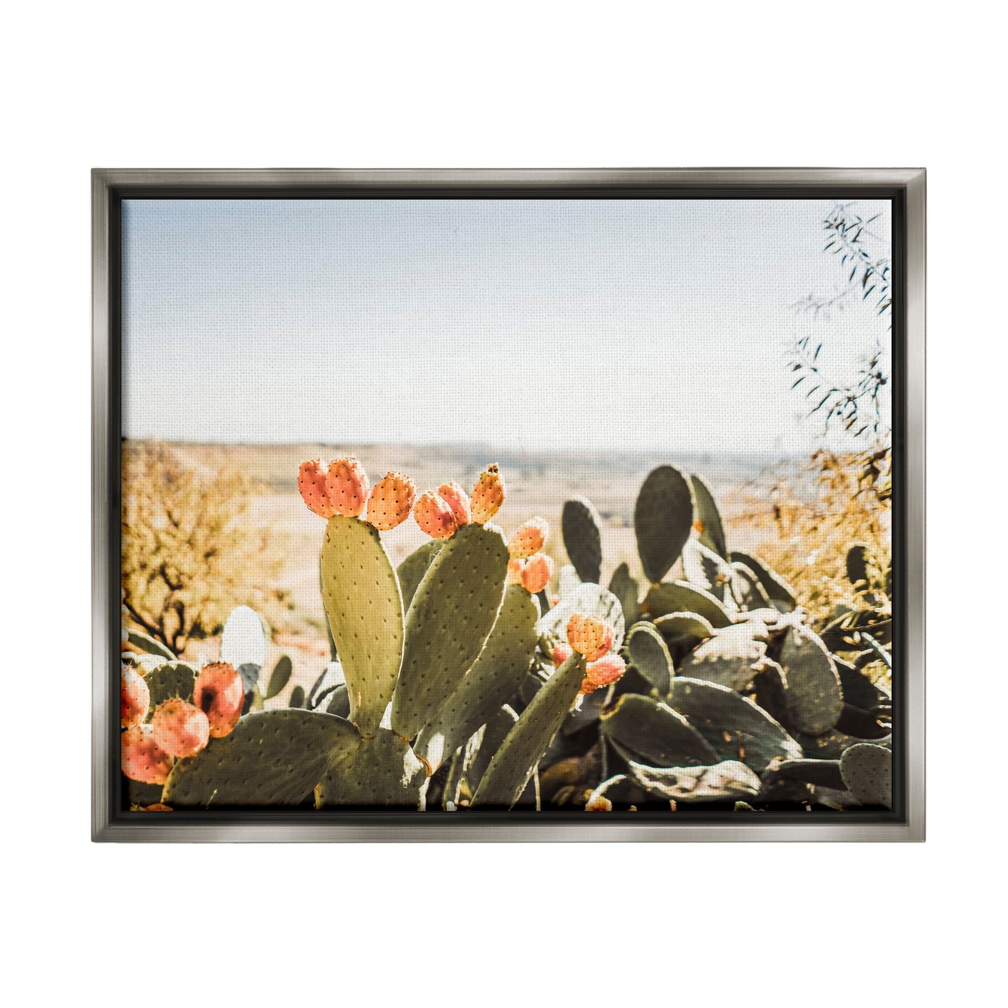 Stupell Sunlit Prickly Pear Cactus Photography Landscape Photography Gray Floater Framed Art Print Wall Art