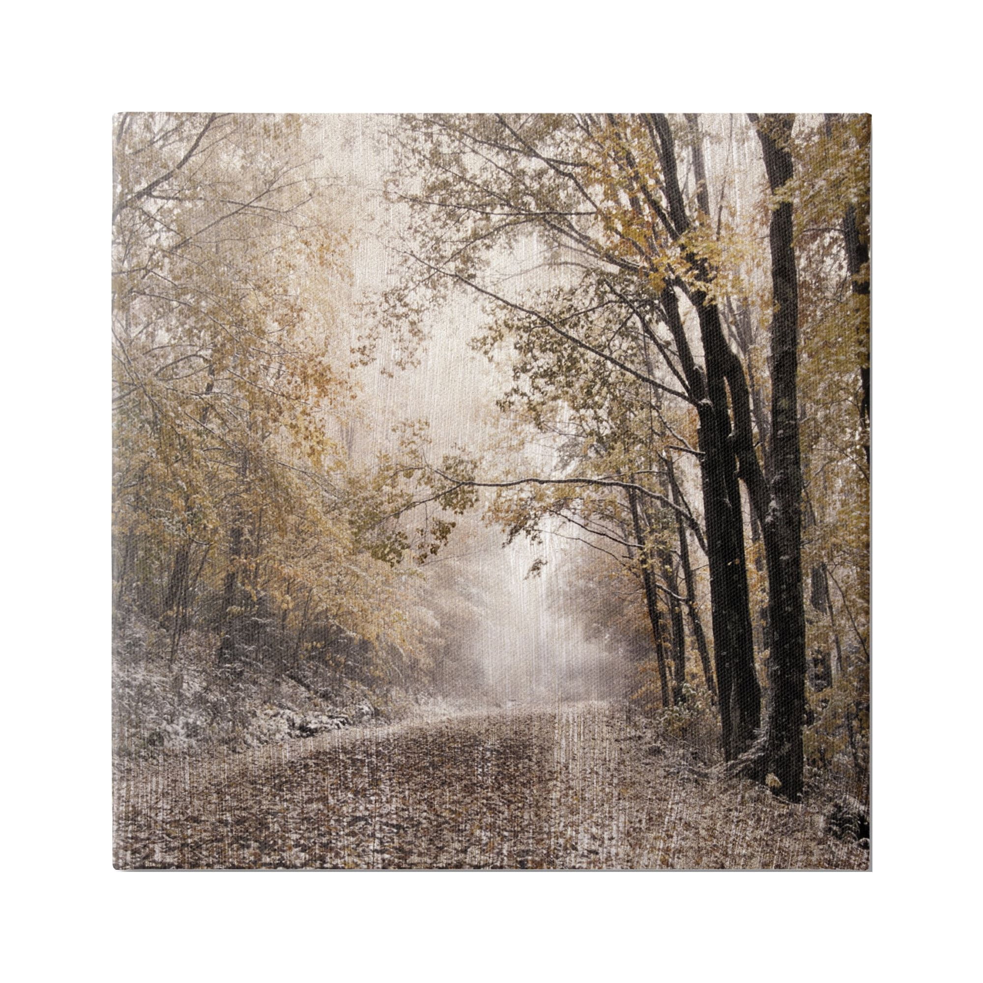 Stupell Sunlit Woodland Nature Trail Landscape Photography Gallery Wrapped Canvas Print Wall Art