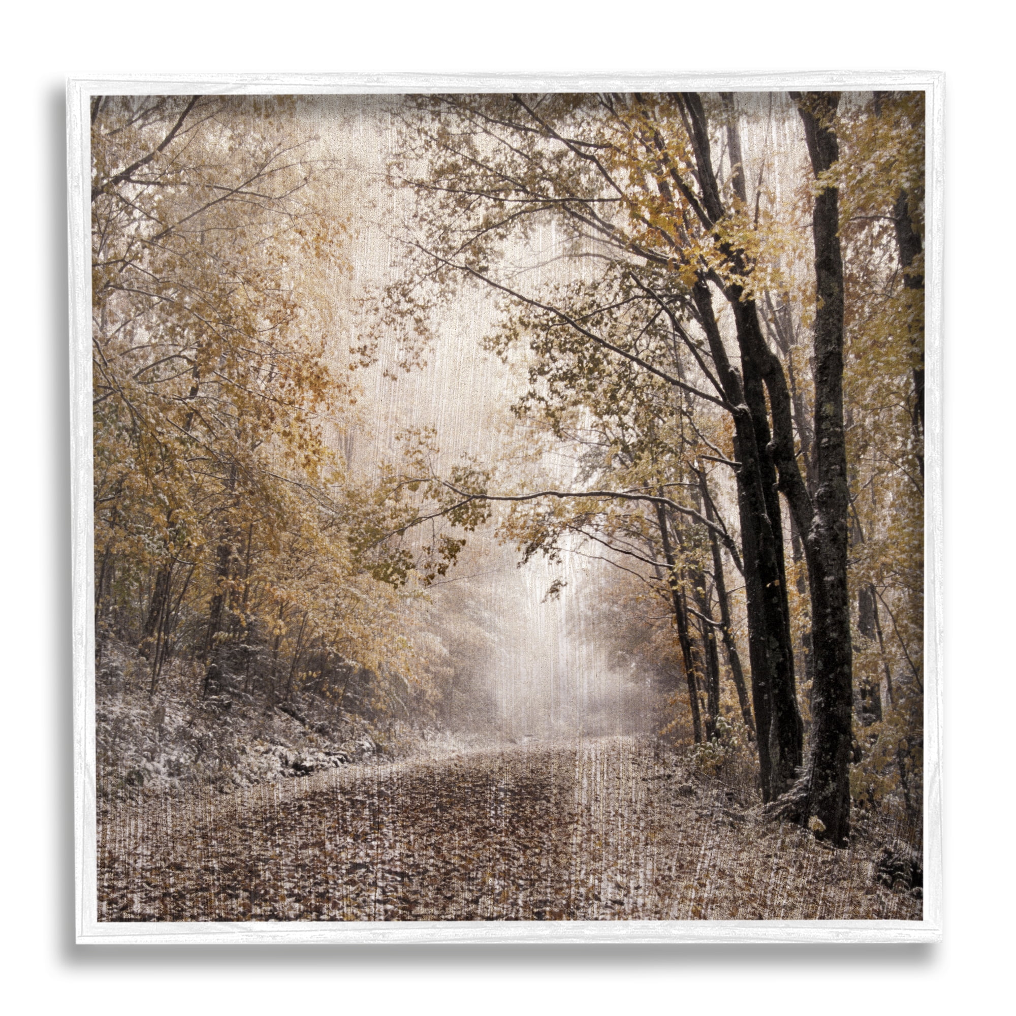 Stupell Sunlit Woodland Nature Trail Landscape Photography White Framed Art Print Wall Art