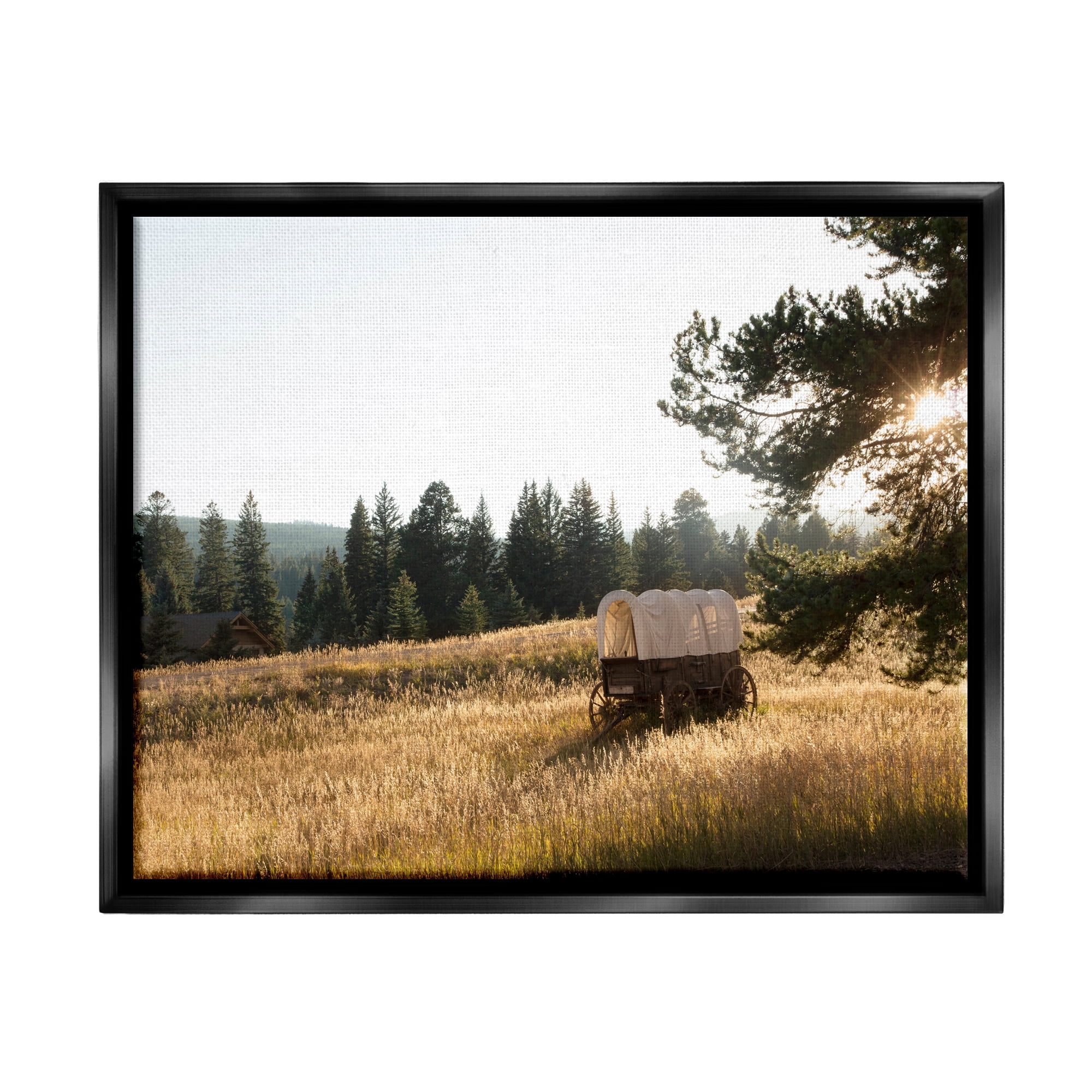 Stupell Times Past Rural Country Carriage Landscape Photography Black Floater Framed Art Print Wall Art