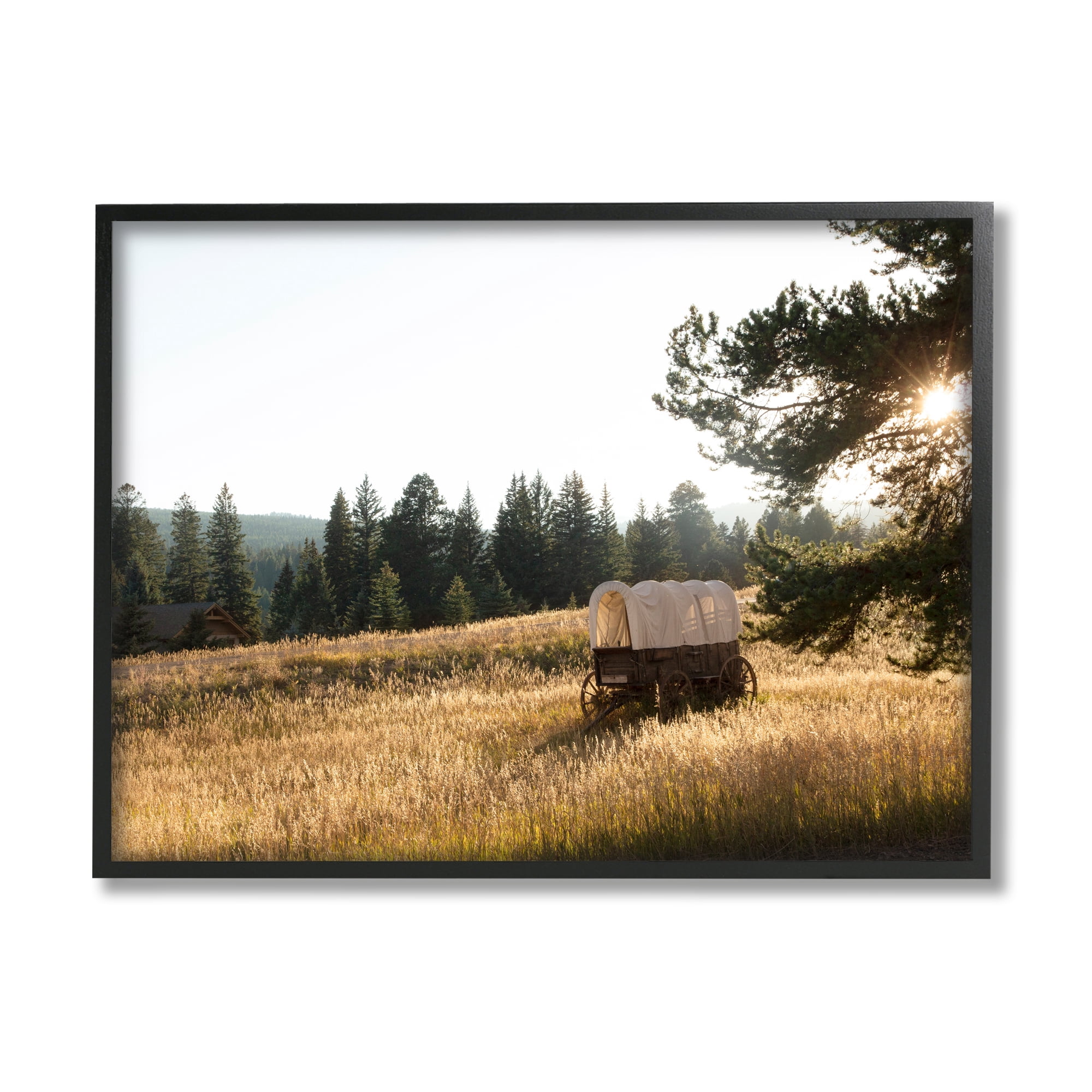 Stupell Times Past Rural Country Carriage Landscape Photography Black Framed Art Print Wall Art