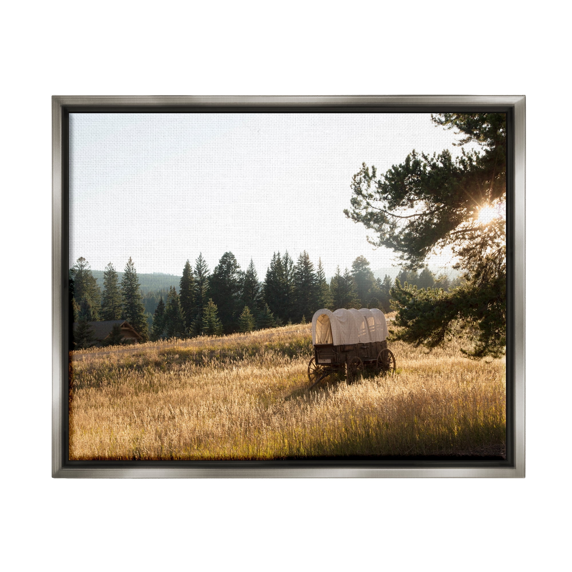 Stupell Times Past Rural Country Carriage Landscape Photography Gray Floater Framed Art Print Wall Art
