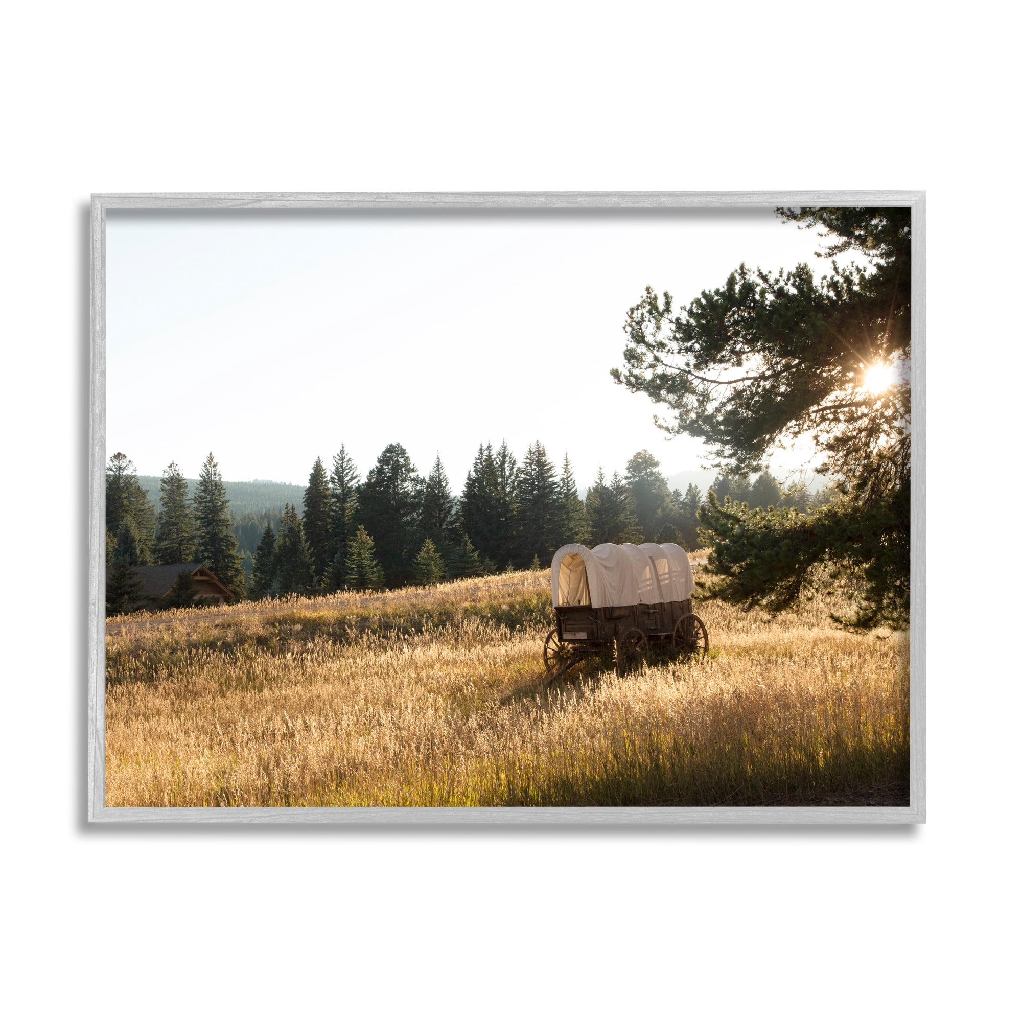 Stupell Times Past Rural Country Carriage Landscape Photography Gray Framed Art Print Wall Art
