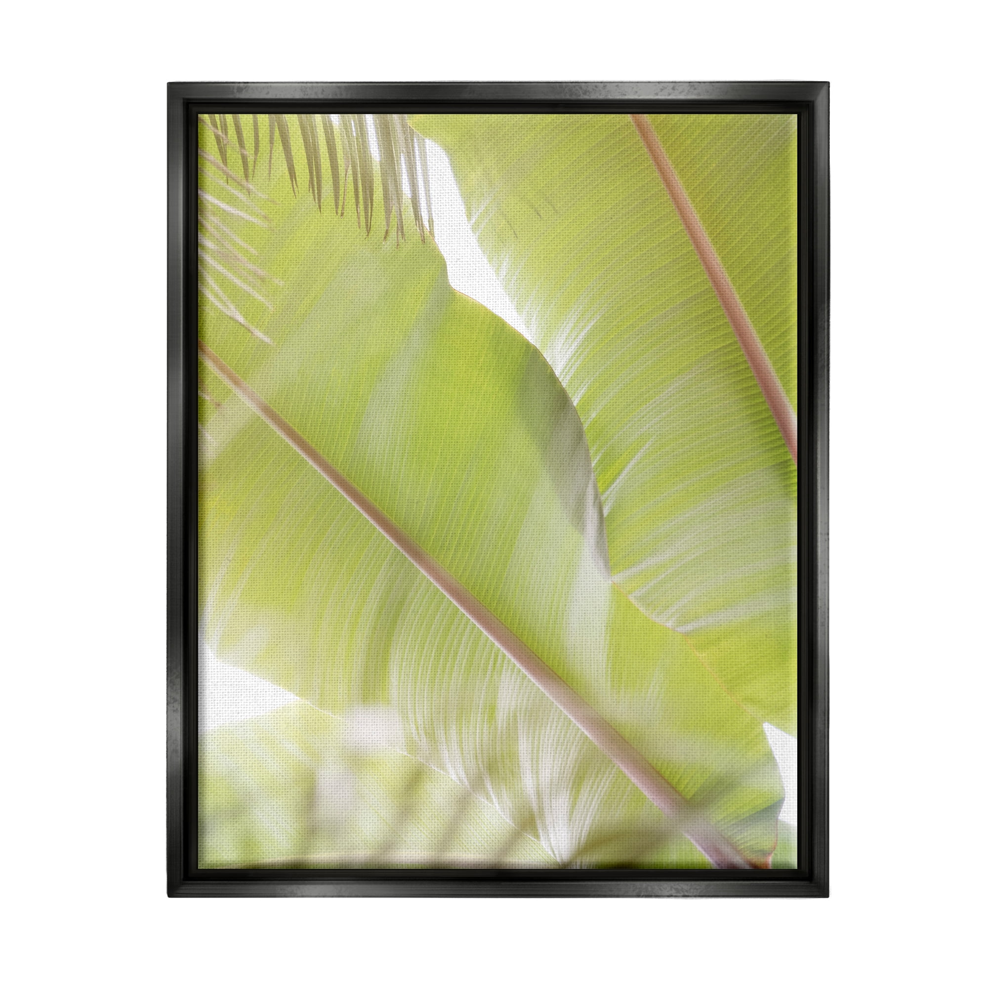 Stupell Tropical Palm Modern View Botanical & Floral Photography Black Floater Framed Art Print Wall Art