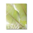 thumbnail image 1 of Stupell Tropical Palm Modern View Botanical & Floral Photography Gallery Wrapped Canvas Print Wall Art, 1 of 5