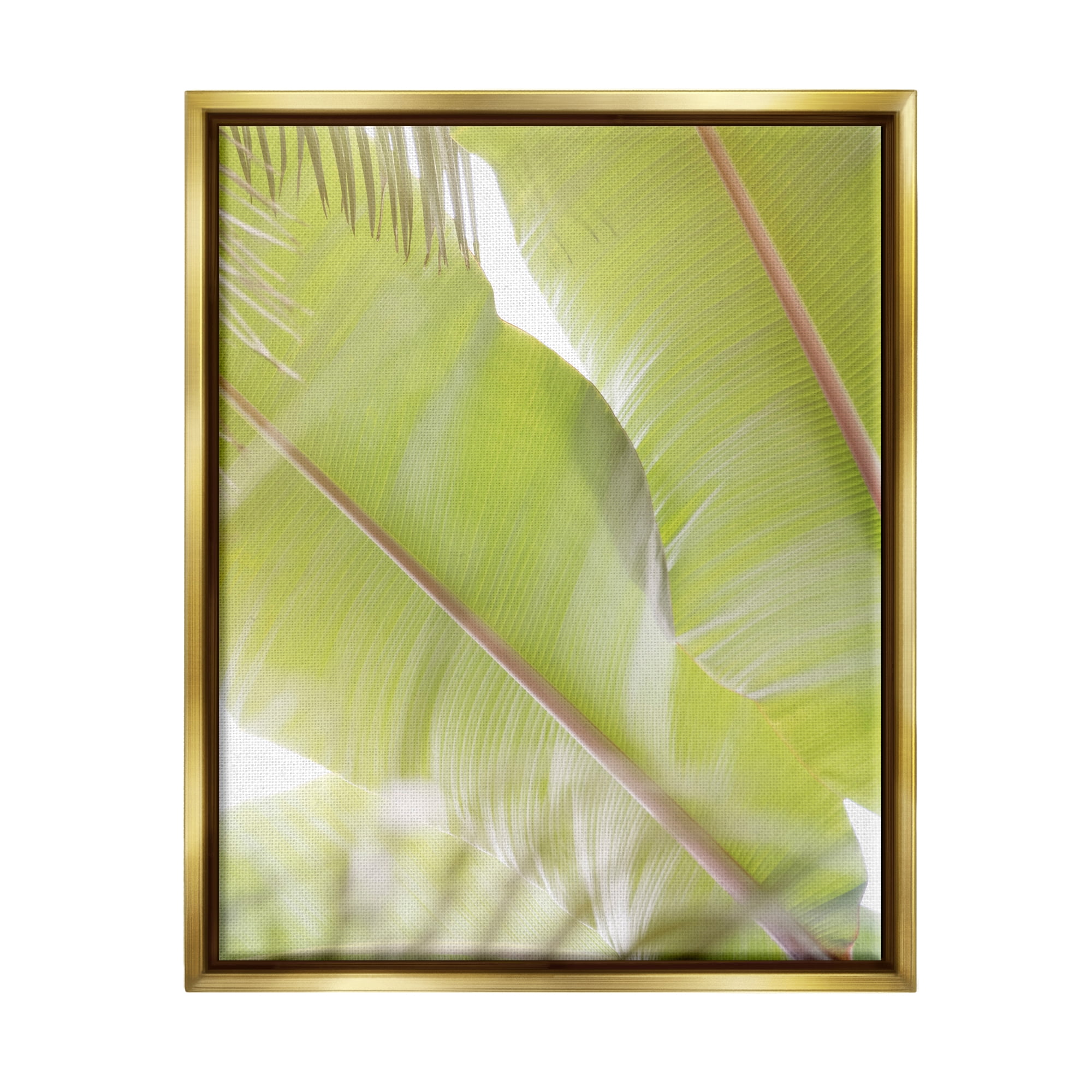 Stupell Tropical Palm Modern View Botanical & Floral Photography Gold Floater Framed Art Print Wall Art