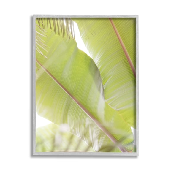 Stupell Tropical Palm Modern View Botanical & Floral Photography Gray Framed Art Print Wall Art
