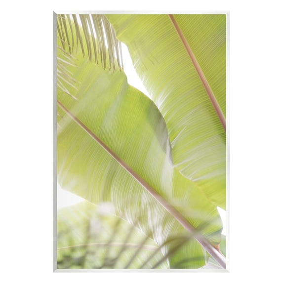 Stupell Tropical Palm Modern View Botanical & Floral Photography Wall Plaque Unframed Art Print Wall Art