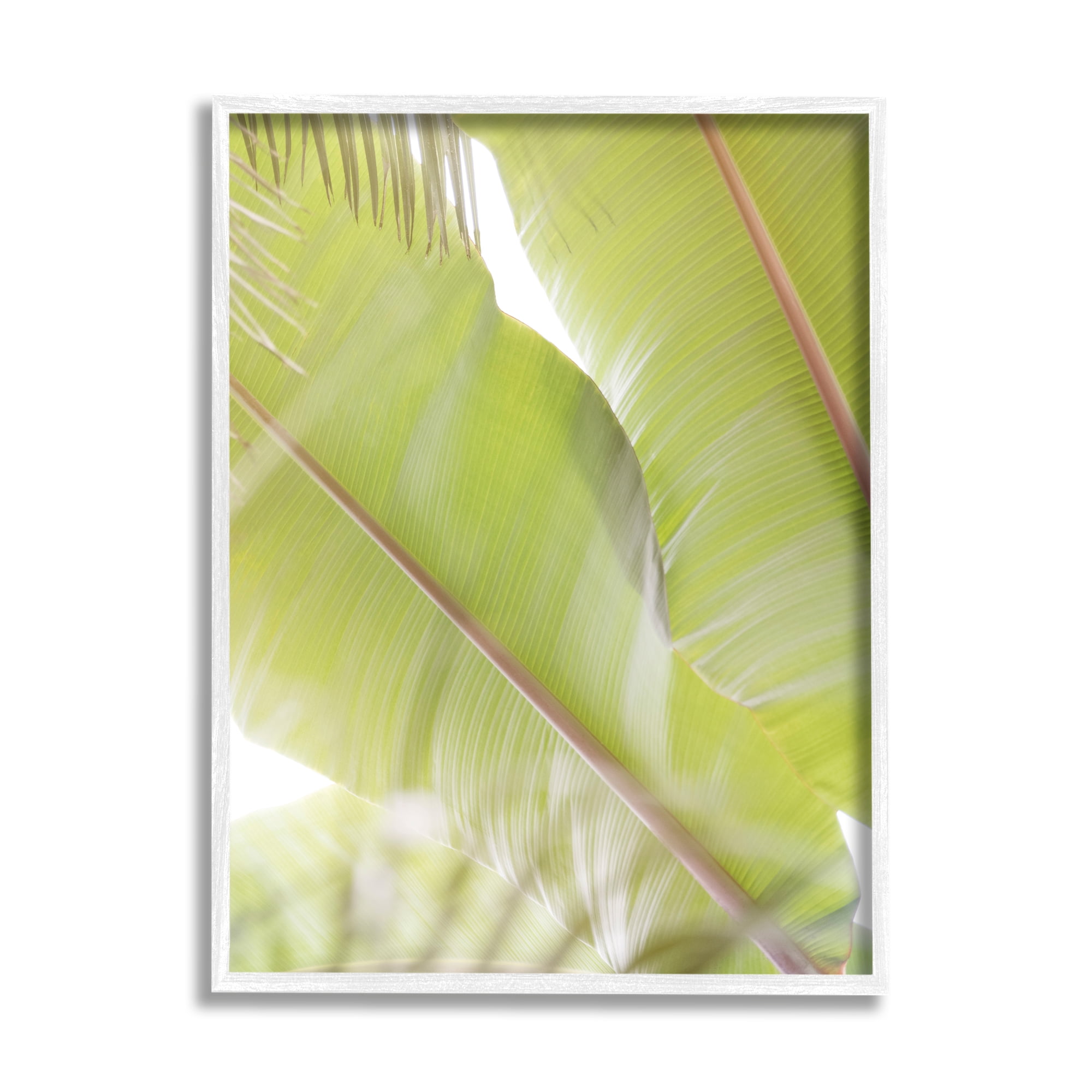 Stupell Tropical Palm Modern View Botanical & Floral Photography White Framed Art Print Wall Art