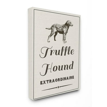 Stupell Truffle Hound Extraordinaire Stretched Canvas Wall Art 16 x 20