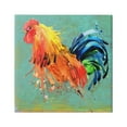 thumbnail image 1 of Stupell Urban Abstract Rooster Splash Animals & Insects Painting Gallery Wrapped Canvas Print Wall Art, 1 of 7