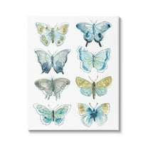Stupell Varied Butterflies & Moths Insects Animals & Insects Painting Gallery Wrapped Canvas Print Wall Art