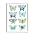 thumbnail image 1 of Stupell Varied Butterflies & Moths Insects Animals & Insects Painting White Framed Art Print Wall Art, 1 of 7