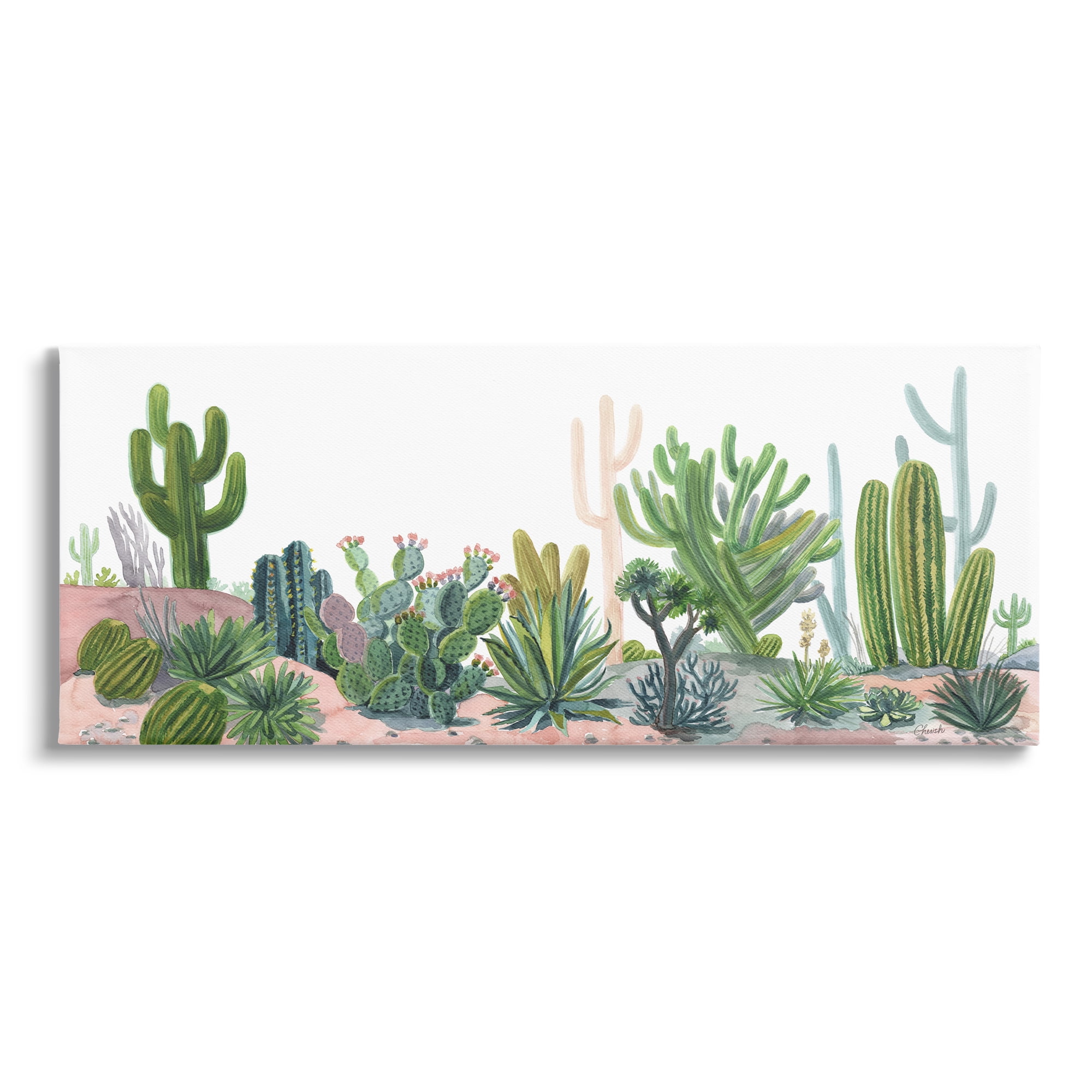 Stupell Varied Desert Vegetation Cacti Botanical & Floral Painting Gallery Wrapped Canvas Print Wall Art