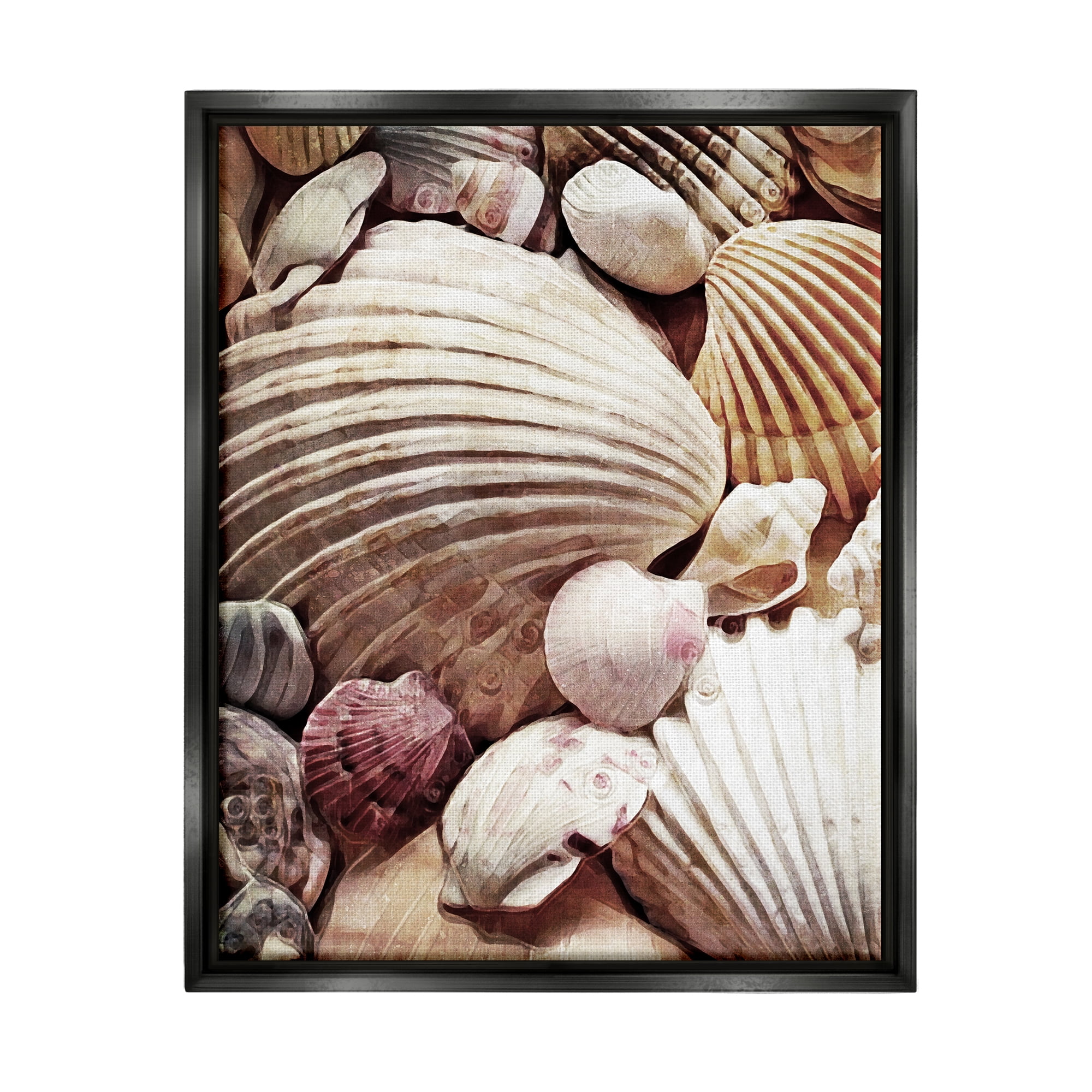 Stupell Various Nautical Clam Conch Shells Landscape Photography Black Floater Framed Art Print Wall Art